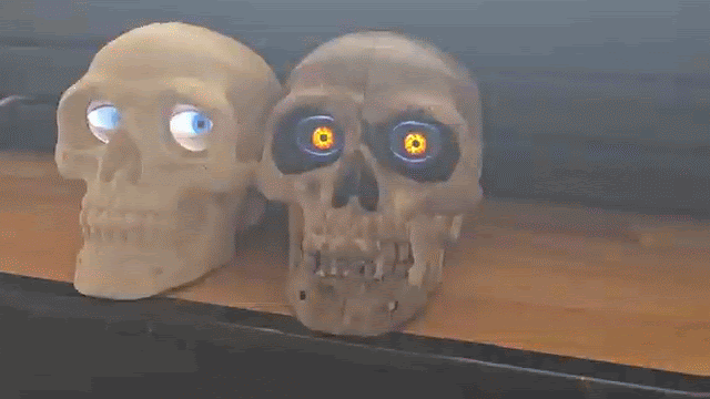 The Skully