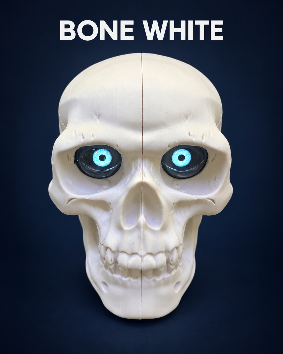 The Skully